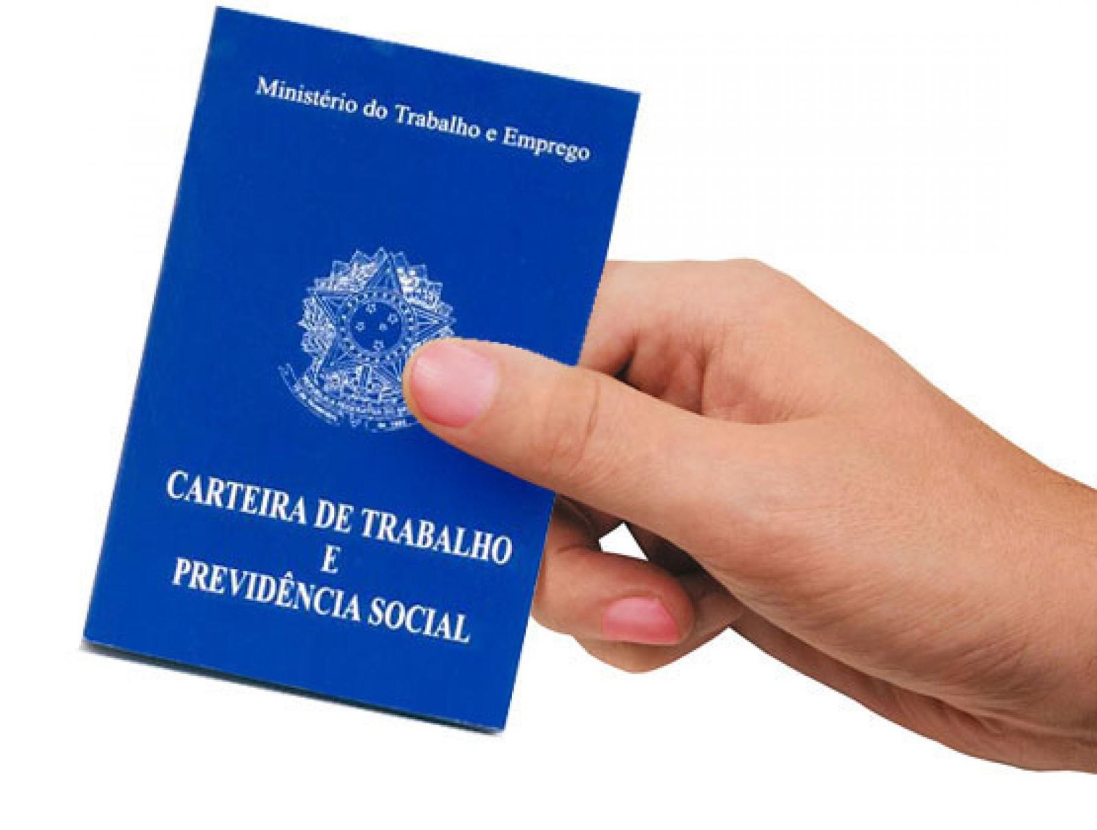 Imagem do Conteúdo